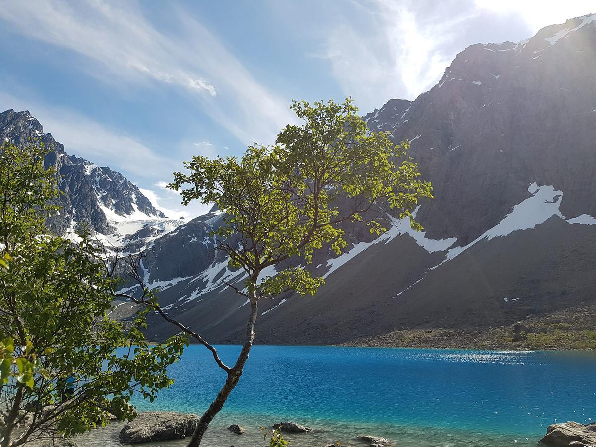 Slatteng Svensby Exteriér fotografie